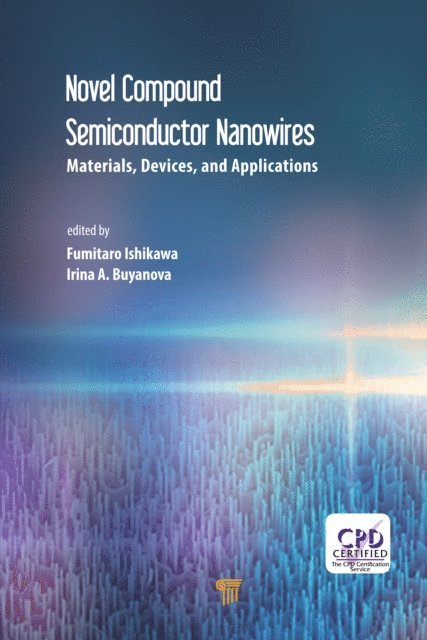 Irina Buyanova, Fumitaro Ishikawa - Novel Compound Semiconductor Nanowires, E-bok