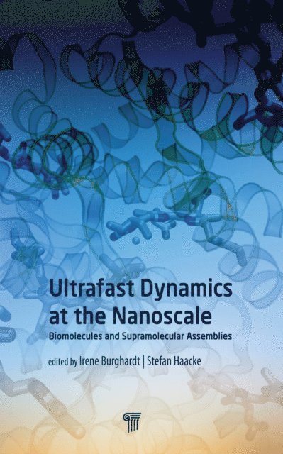 Irene Burghardt, Stefan Haacke - Ultrafast Dynamics at the Nanoscale, E-bok