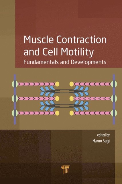 Haruo Sugi - Muscle Contraction and Cell Motility, E-bok