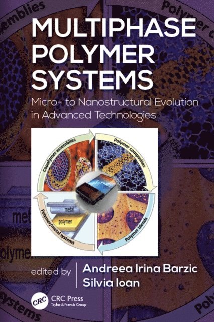 Silvia Ioan, Andreea Irina Barzic - Multiphase Polymer Systems, E-bok