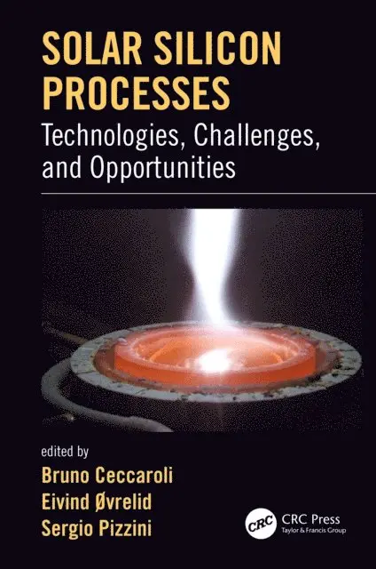 Sergio Pizzini, Eivind Ovrelid, Bruno Ceccaroli - Solar Silicon Processes, E-bok. Tillgänglighet: Lägg i varukorg