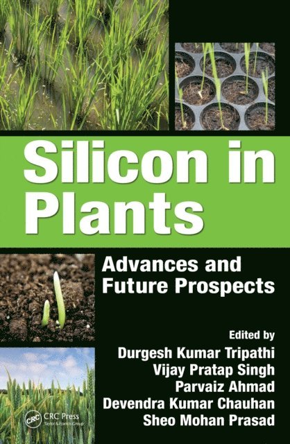 Sheo Mohan Prasad, Devendra Kumar Chauhan, Parvaiz Ahmad, Vijay Pratap Singh, Durgesh Kumar Tripathi - Silicon in Plants, E-bok