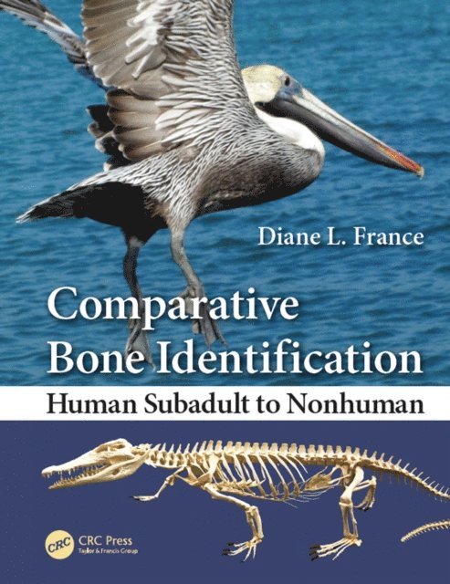 Diane L. France - Comparative Bone Identification, E-bok