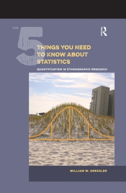 William W Dressler - 5 Things You Need to Know about Statistics, E-bok