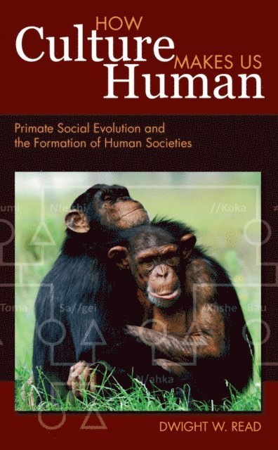 Dwight W Read - How Culture Makes Us Human, E-bok