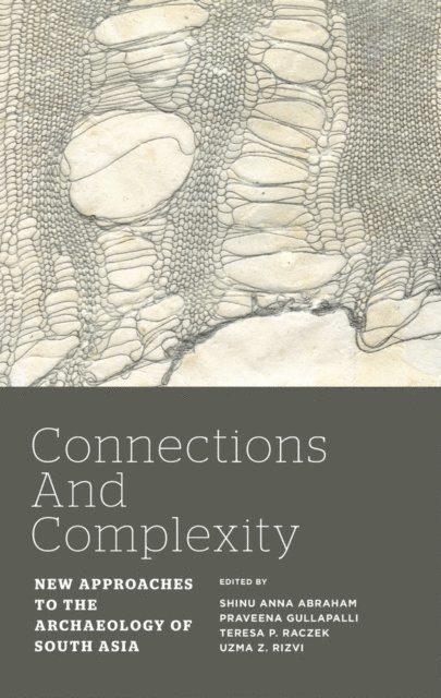 Uzma Z Rizvi, Teresa P Raczek, Praveena Gullapalli, Shinu Anna Abraham - Connections and Complexity, E-bok