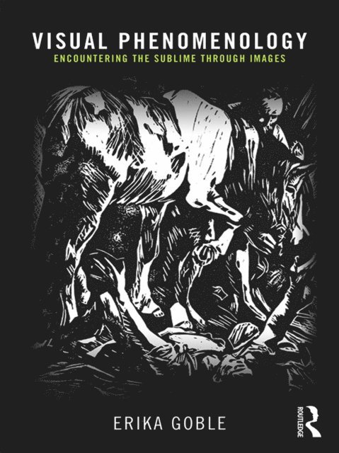 Erika Goble - Visual Phenomenology, E-bok