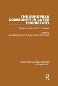 The European Community in Later Prehistory
