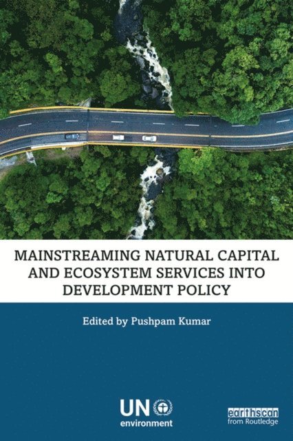 Pushpam Kumar - Mainstreaming Natural Capital and Ecosystem Services into Development Policy, E-bok