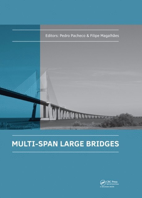Filipe Magalhaes, Pedro Pacheco - Multi-Span Large Bridges, E-bok