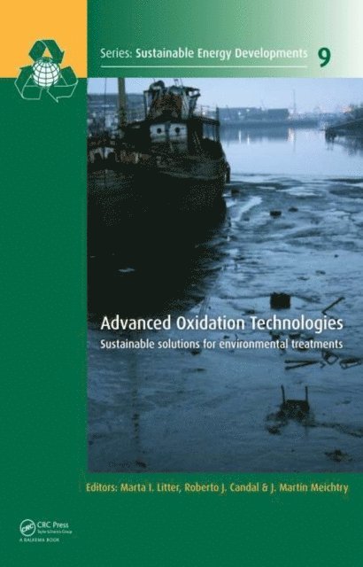 J. Martin Meichtry, Roberto J. Candal, Marta I. Litter - Advanced Oxidation Technologies, E-bok