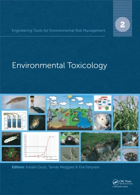 Eva Fenyvesi, Tamas Meggyes, Katalin Gruiz - Engineering Tools for Environmental Risk Management, E-bok