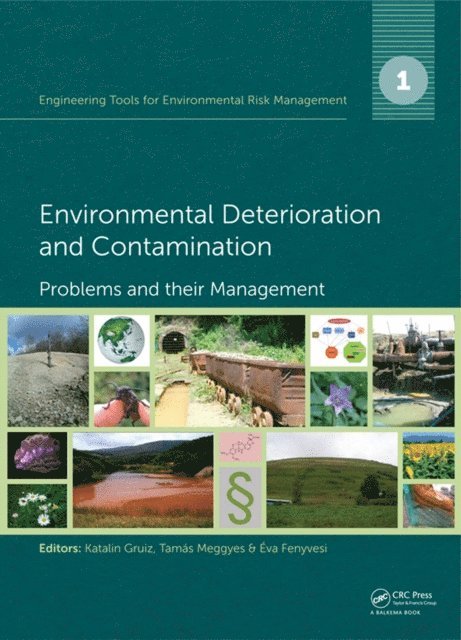 Eva Fenyvesi, Tamas Meggyes, Katalin Gruiz - Engineering Tools for Environmental Risk Management, E-bok