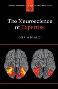 Neuroscience of Expertise