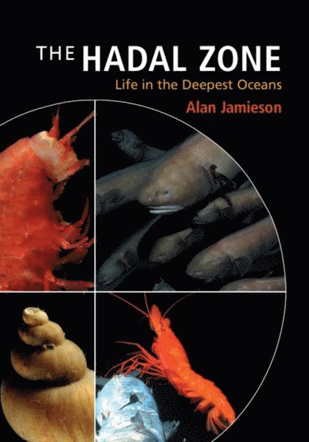 Alan Jamieson - Hadal Zone, E-bok