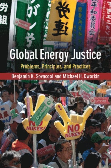 Michael H. Dworkin, Benjamin K. Sovacool - Global Energy Justice, E-bok