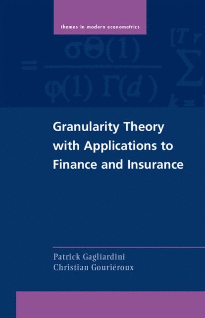 Christian Gourieroux, Patrick Gagliardini - Granularity Theory with Applications to Finance and Insurance, E-bok