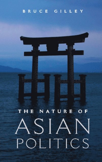 Bruce Gilley - Nature of Asian Politics, E-bok