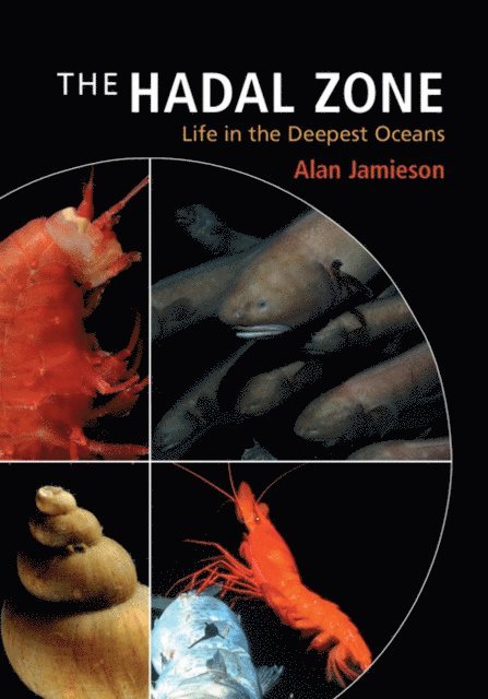 Alan Jamieson - Hadal Zone, E-bok