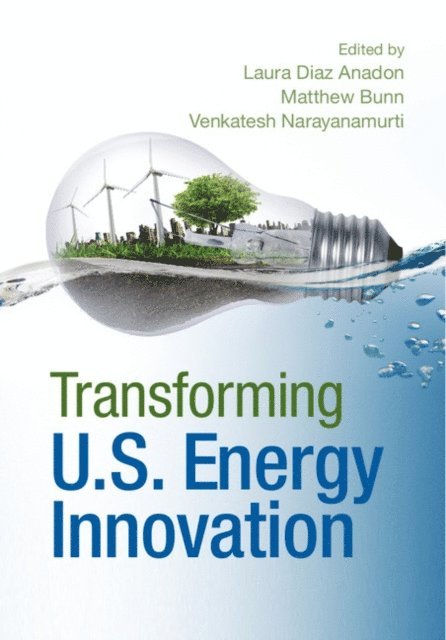 Venkatesh Narayanamurti, Matthew Bunn, Laura Diaz Anadon - Transforming US Energy Innovation, E-bok