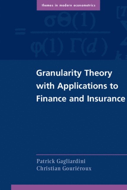 Christian Gourieroux, Patrick Gagliardini - Granularity Theory with Applications to Finance and Insurance, E-bok
