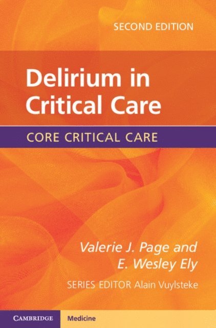 E. Wesley Ely, Valerie J. Page - Delirium in Critical Care, E-bok