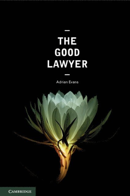 Adrian Evans - Good Lawyer, E-bok