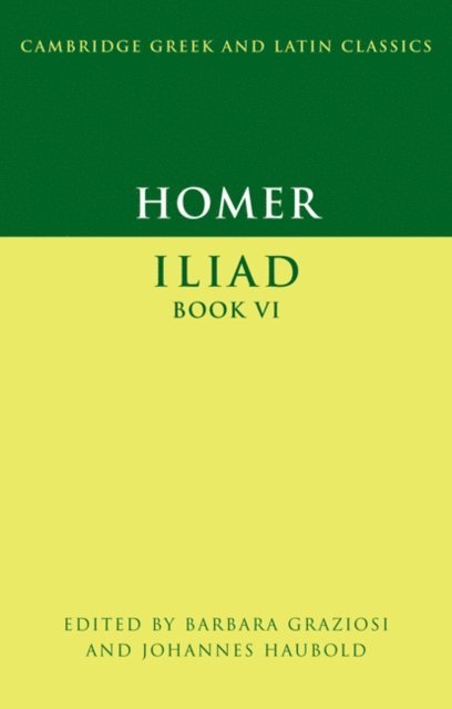 Johannes Haubold, Barbara Graziosi - Homer: Iliad Book VI, E-bok