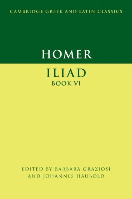 Johannes Haubold, Barbara Graziosi - Homer: Iliad Book VI, E-bok