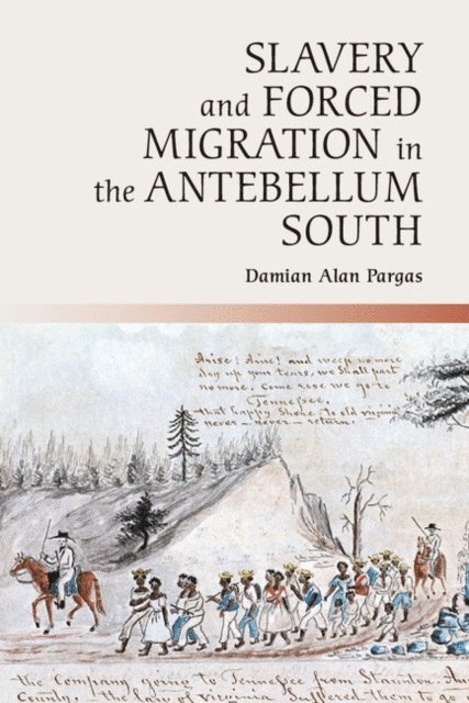 Damian Alan Pargas - Slavery and Forced Migration in the Antebellum South, E-bok