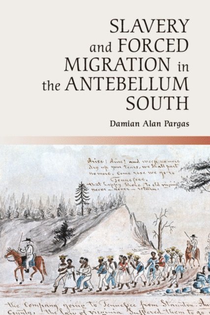 Damian Alan Pargas - Slavery and Forced Migration in the Antebellum South, E-bok