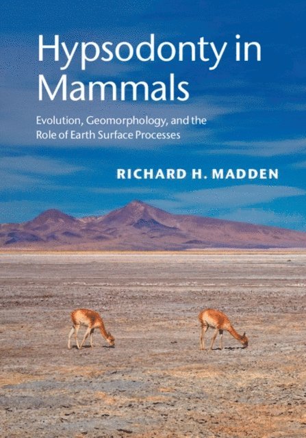 Richard H. Madden - Hypsodonty in Mammals, E-bok