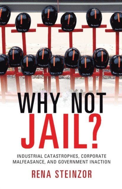 Rena Steinzor - Why Not Jail?, E-bok