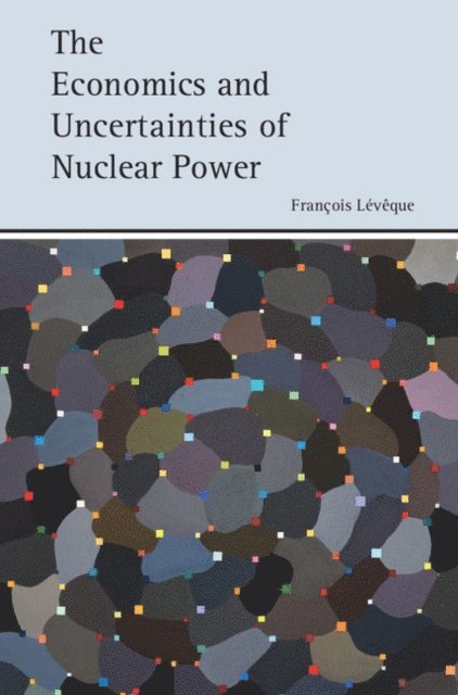 Francois Leveque - Economics and Uncertainties of Nuclear Power, E-bok