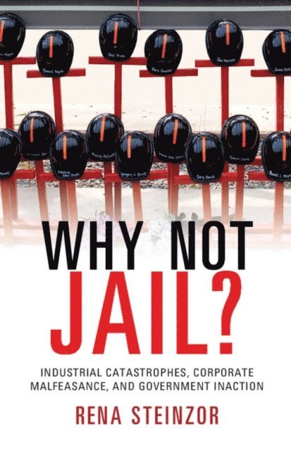 Rena Steinzor - Why Not Jail?, E-bok