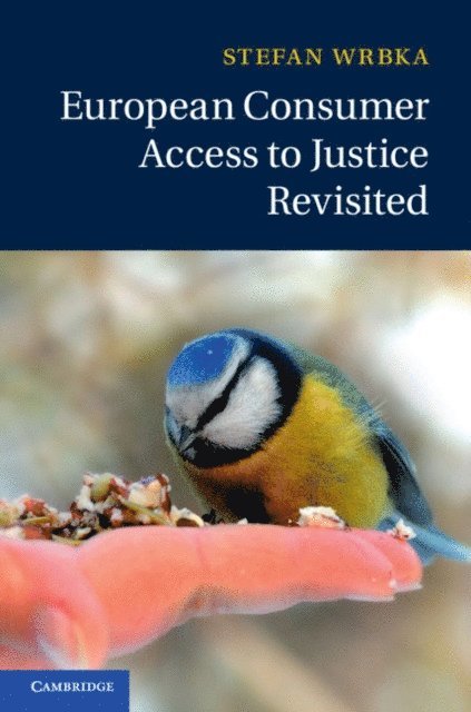 Stefan Wrbka - European Consumer Access to Justice Revisited, E-bok