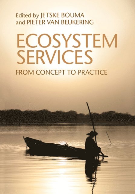 Pieter J. H. van Beukering, Jetske A. Bouma - Ecosystem Services, E-bok
