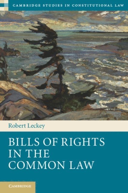 Robert Leckey - Bills of Rights in the Common Law, E-bok
