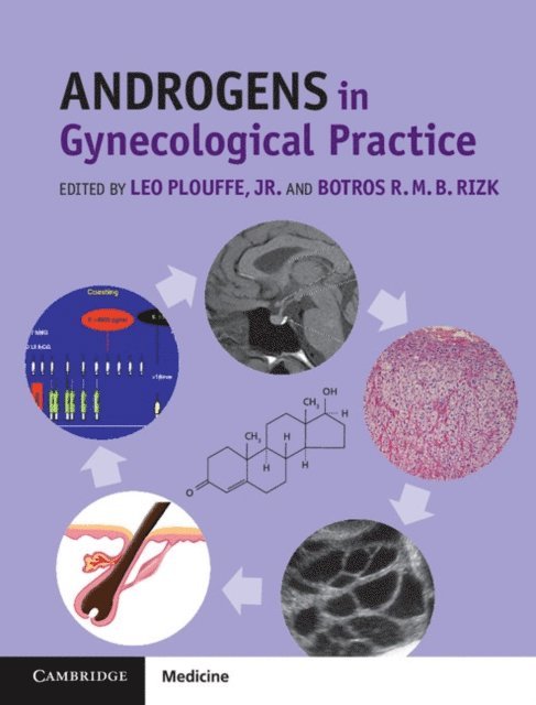 Botros R. M. B. Rizk, Jr Leo Plouffe - Androgens in Gynecological Practice, E-bok
