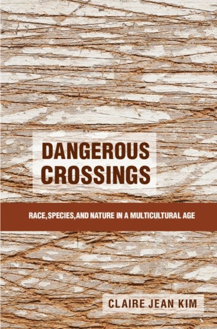 Claire Jean Kim - Dangerous Crossings, E-bok