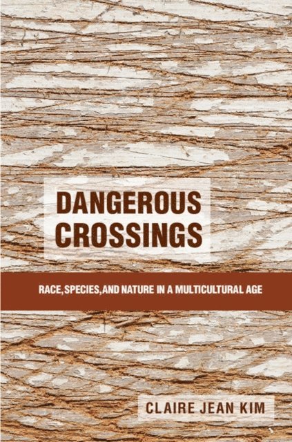 Claire Jean Kim - Dangerous Crossings, E-bok