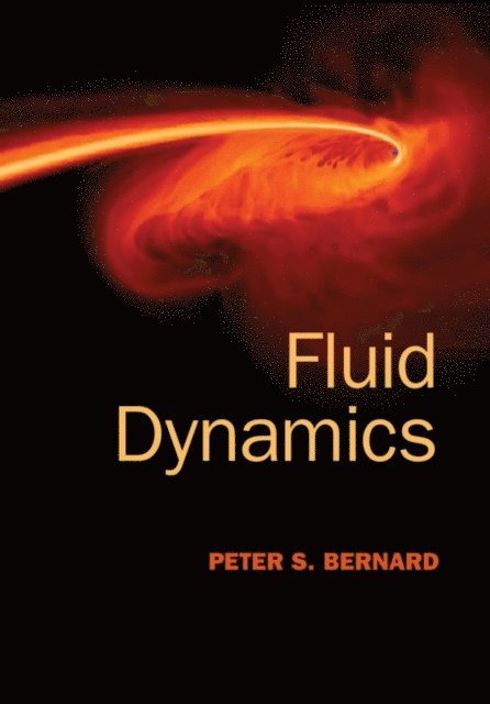 Peter S. Bernard - Fluid Dynamics, E-bok