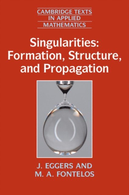 M. A. Fontelos, J. Eggers - Singularities: Formation, Structure, and Propagation, E-bok