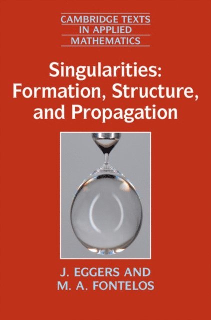 M. A. Fontelos, J. Eggers - Singularities: Formation, Structure, and Propagation, E-bok