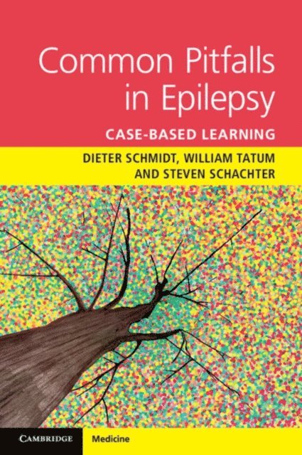 Steven Schachter, William O. Tatum, Dieter Schmidt - Common Pitfalls in Epilepsy, E-bok