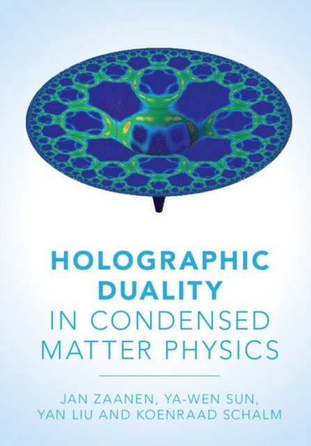 Koenraad Schalm, Ya-Wen Sun, Yan Liu, Jan Zaanen - Holographic Duality in Condensed Matter Physics, E-bok