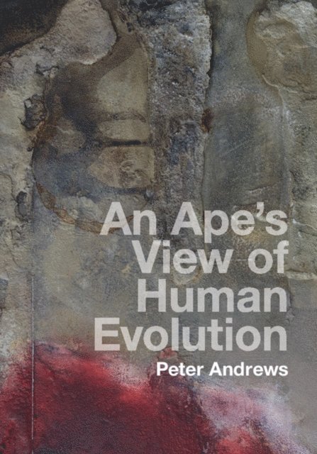 Peter Andrews - Ape's View of Human Evolution, E-bok