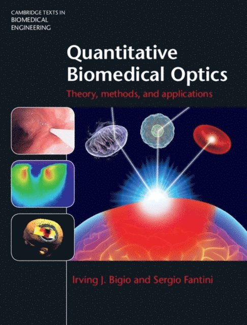 Sergio Fantini, Irving J. Bigio - Quantitative Biomedical Optics, E-bok