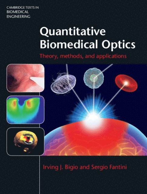 Sergio Fantini, Irving J. Bigio - Quantitative Biomedical Optics, E-bok