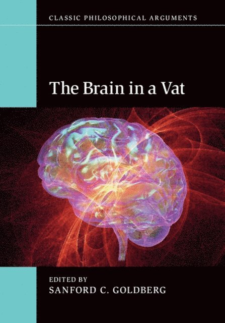Sanford C. Goldberg - Brain in a Vat, E-bok